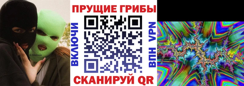 дарнет шоп  Давлеканово  Галлюциногенные грибы Psilocybe 